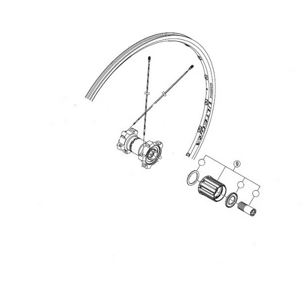 Corps Roue Libre Shimano Ultegra WH-6700 Y4FP98050 1 Corps Roue Libre Shimano Ultegra WH-6700 Y4FP98050